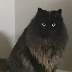 Meet your Posher, Cathy-ruth